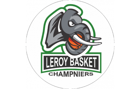 LEROY-SOMER BASKET CHAMPNIERS